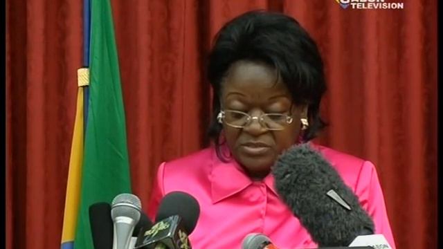 Election du PAN + Déclaration de PM Raymond Ndong Sima смотреть онлайн