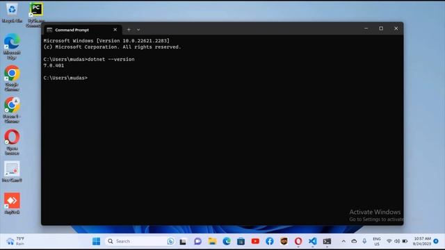 How to Run C# using Visual Studio Code | VSCode Setup for C# Programming смотреть онлайн