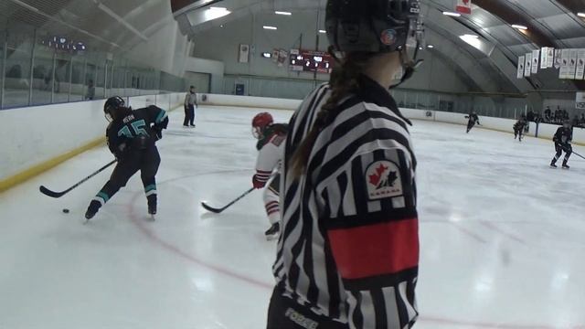 LD Midget U18 A (Bluewater Hawks Pt. 4) Dec 10, 2021 смотреть онлайн