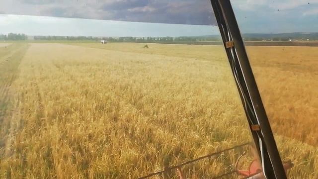 Засуха. Урожай 2021. смотреть онлайн