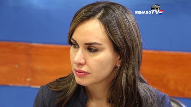 Legisladores reciben informe sobre comunidad indígena Sauce Paranaense смотреть онлайн