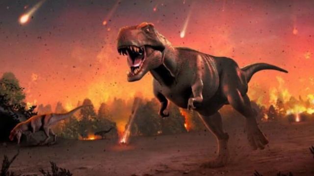 аммониты смотреть онлайн