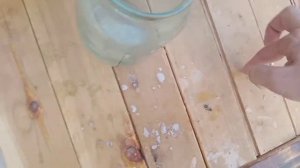 пчёлы на балконе, простая самодельная кормушка для пчел из стеклянной литровой банки.