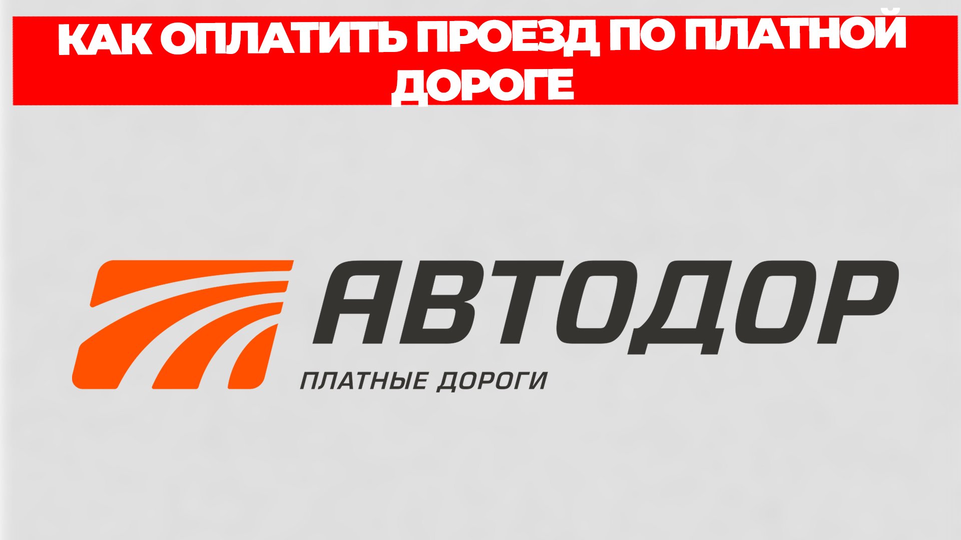 Всезнающий Енот