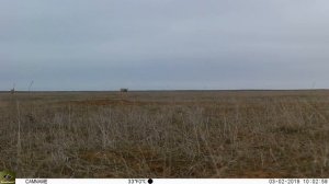 Цаган Сар - один из самых любимых праздников калмыцкого народа.