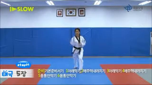 ТАЭКВОНДО ВТФ. ФОРМАЛЬНЫЕ КОМПЛЕКСЫ. 5-е ПУМСЭ -- ТЭГУК О ДЖАН 4 гып