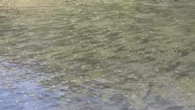 Заполнение рек в 2018 году