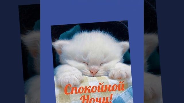 ??Спокойной ночи,любовь и нежность моя ‼️ смотреть онлайн