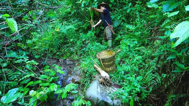 Fence The Pond, Planting Trees: Survival Alone In The Rainforest | EP.75 смотреть онлайн