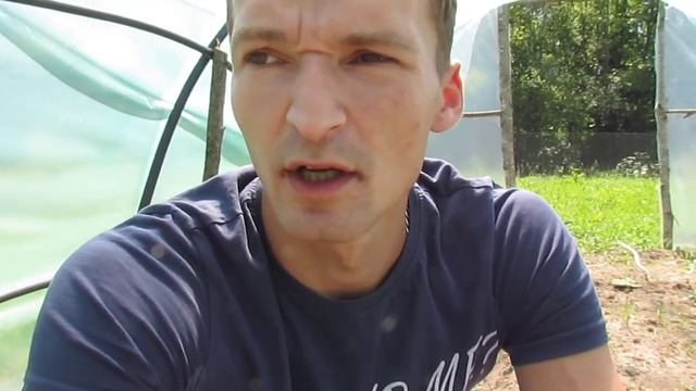 Какой фирмы покупать семена? Много, и все разные! смотреть онлайн