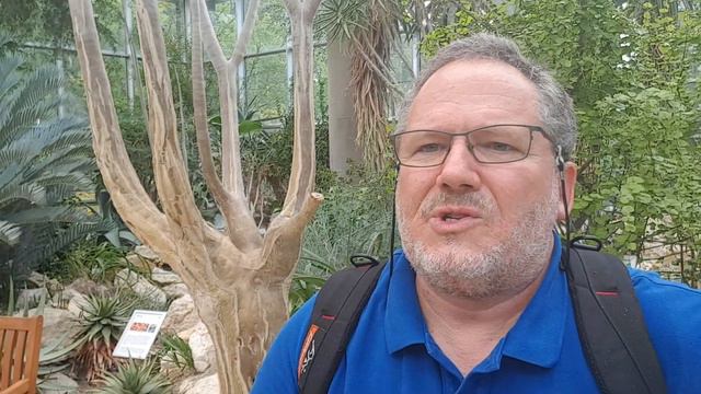 FRANKFURT PALM GARDENS Cactus & Succulent Collection Greenhouse Tour PART 1 #cacti  #succulents