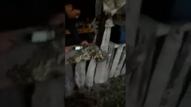 Кавказ нальчик смотреть онлайн