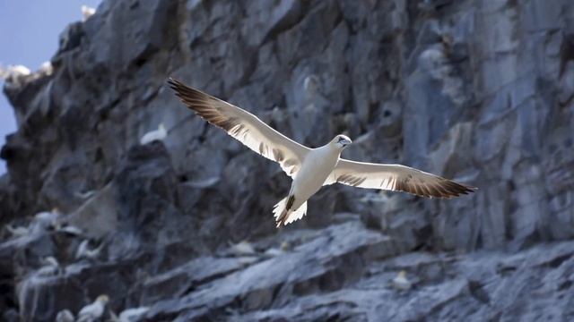 Свобода от внешнего или По ту сторону эго смотреть онлайн