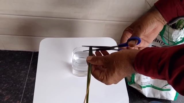 Dhan Me Blb Rog Or Upchar | Rice Blb | Kocide 2000 | Copper Sulphate | Cuprofix Fungicide | BLB |