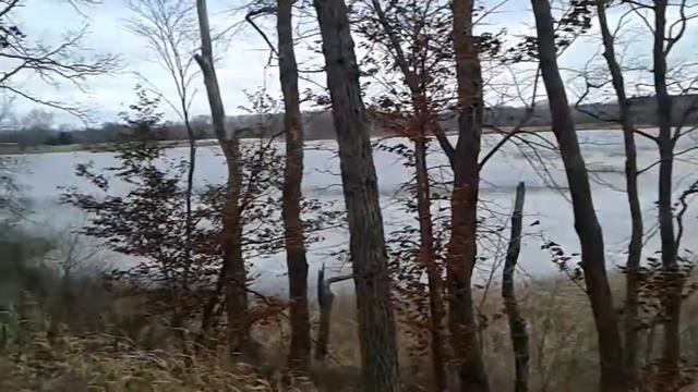 Jack & Indiana смотреть онлайн