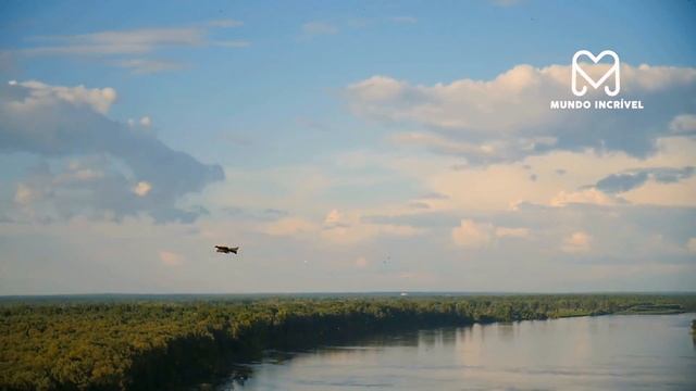 AGUIA GIGANTE ATACA CABRA EM PENHASCO смотреть онлайн