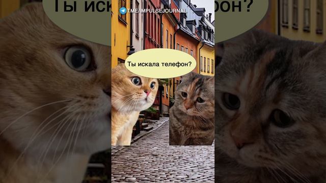 Разрыв связи #мыкотики #вмем #разговор #анекдот #шутки #кот #юмор #смешное #прикольно #мемы #cat смотреть онлайн