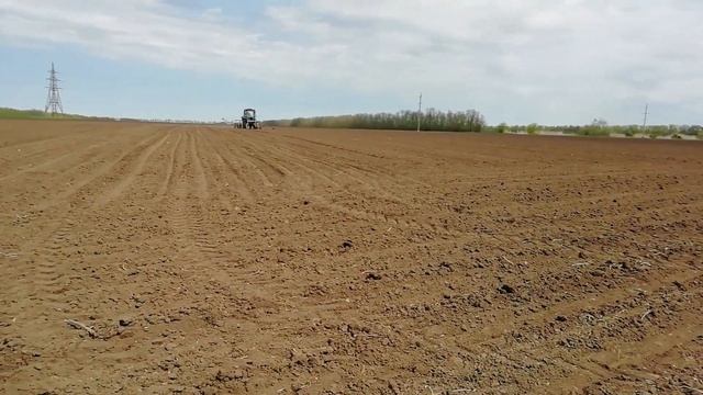 ОПЫТ. Сею кукурузы три сорта. Микси, КСС 5290 и КСС 5291. смотреть онлайн