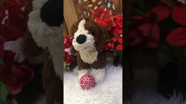 #shortvideos #cute #viralvideos смотреть онлайн