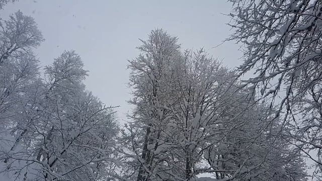 Сочи. Красная поляна 2021