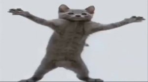 бара бара бери