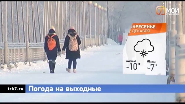 Приезд полпреда президента, десять новых львят и борьба с лифтом. Главное на 16:00 17 декабря смотреть онлайн