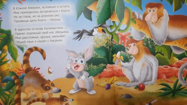 Живая книга Animal Book ROOSSA #animal#животные смотреть онлайн