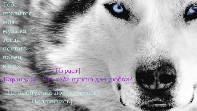 Карандаш - Что тебе нужно для любви