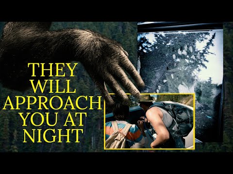 Sasquatch Fingerprints Discovered Across North America смотреть онлайн