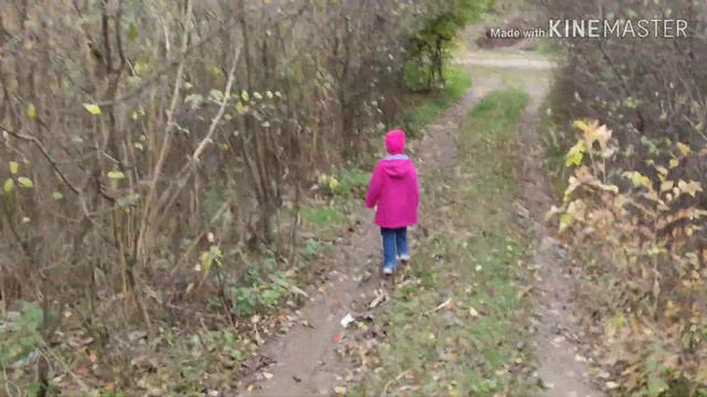 ВЛОГ. Отдых на даче. Сбор осеннего урожая. Прогулка