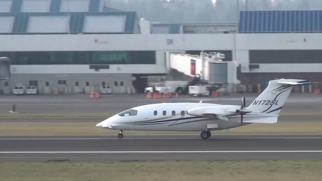 Celera 500L | Яйцо с крыльями или революция в авиации