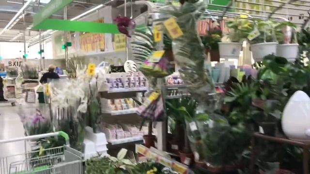 Покупки Еды и не только смотреть онлайн