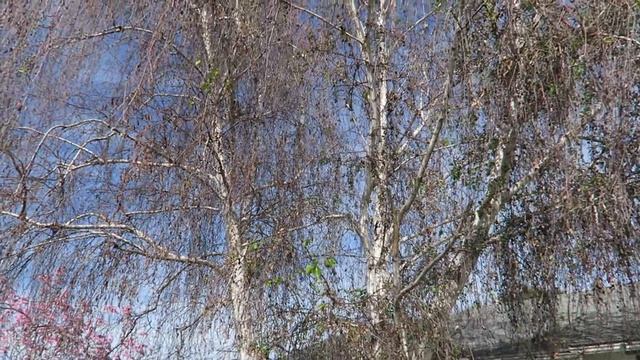 Улицы Лос Анджелеса | Хранение косметики | VLOG для души