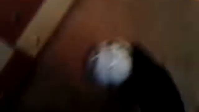 Привет, я повернул голову смотреть онлайн