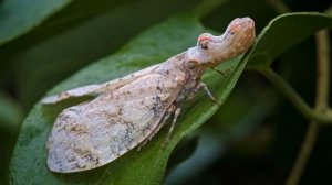 ТРИ МЕСЯЦА СПУСТЯ. ЧТО МЫ НАШЛИ В ТЕРРАРИУМЕ С ХИЩНЫМИ РАСТЕНИЯМИ.