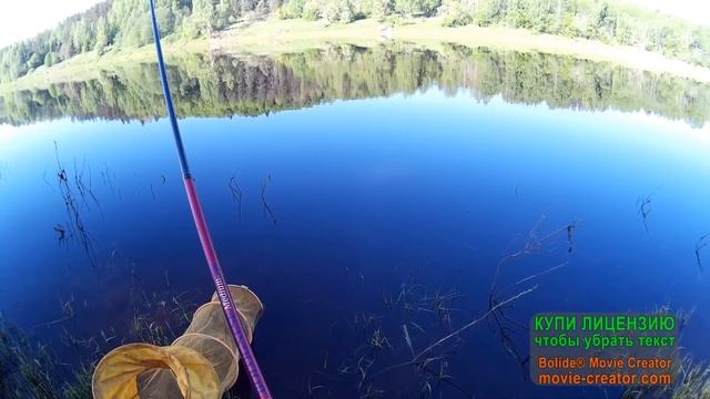 Рыбалка на болонскую удочку в проводку на течении.Мой рекордный Лещ 2.2кг смотреть онлайн