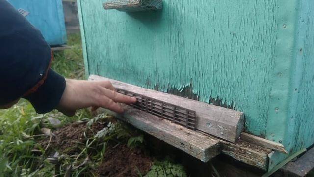 Летковые заградители,или кошки-мышки! смотреть онлайн