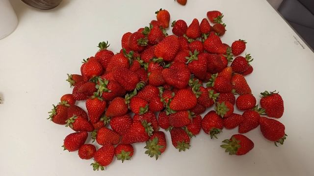 КЛУБНИКА 2022!! ОТ посадки ДО сбора УРОЖАЯ!!// смотреть онлайн