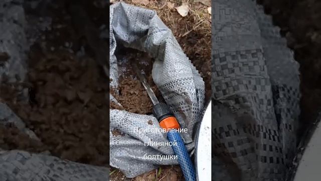 Глиняная болтушка для сохранения корней саженцев смотреть онлайн