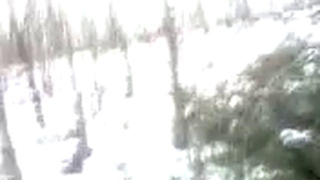 Новая религия с названием "боги"! смотреть онлайн