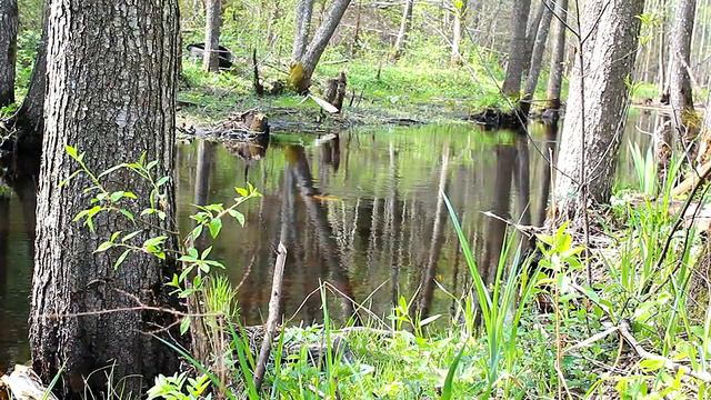 Silent River - Тихая река смотреть онлайн