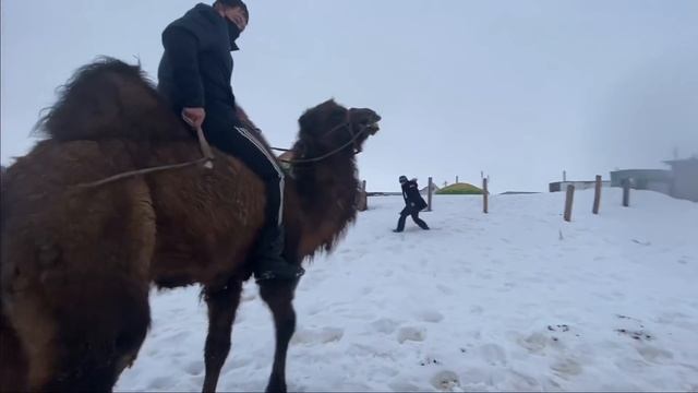 Дети и развитие: ключи к оптимальному росту