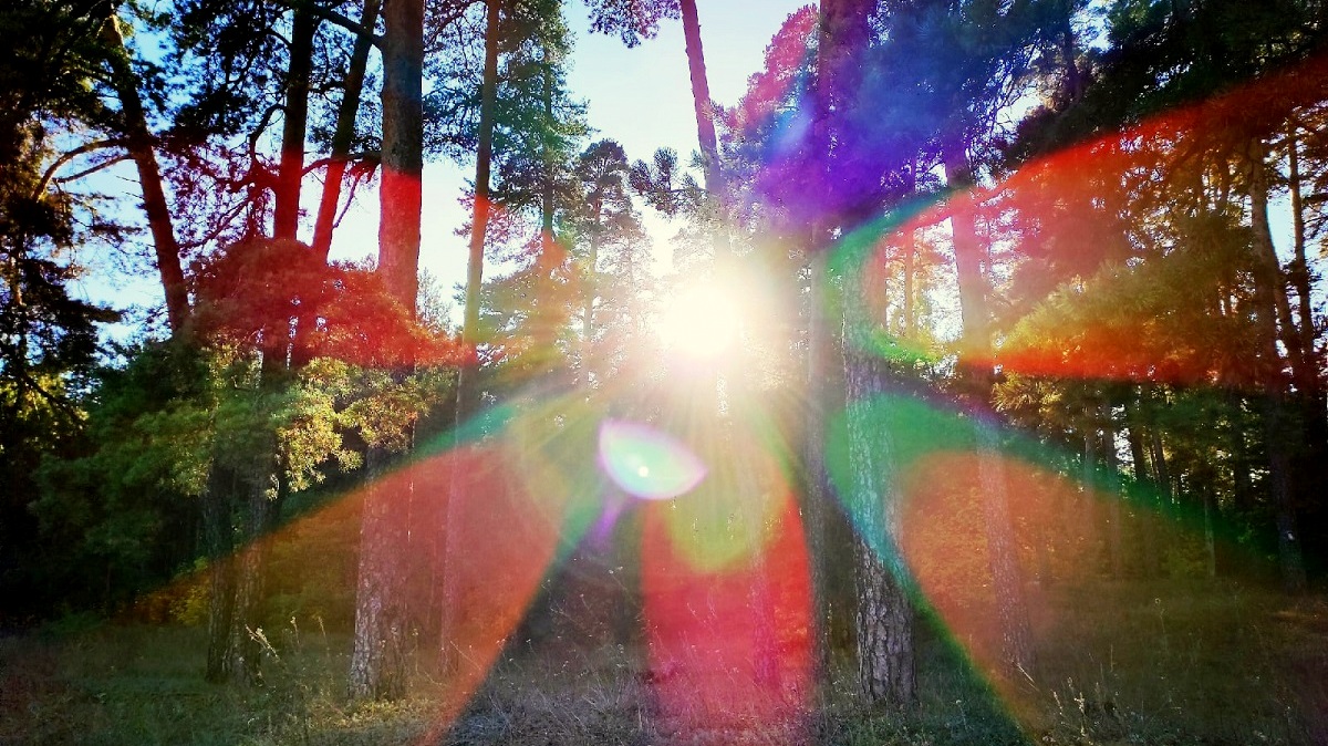 С первого взгляда. Интуитивные реакции на определенных людей, как проявление признаков Перехода.