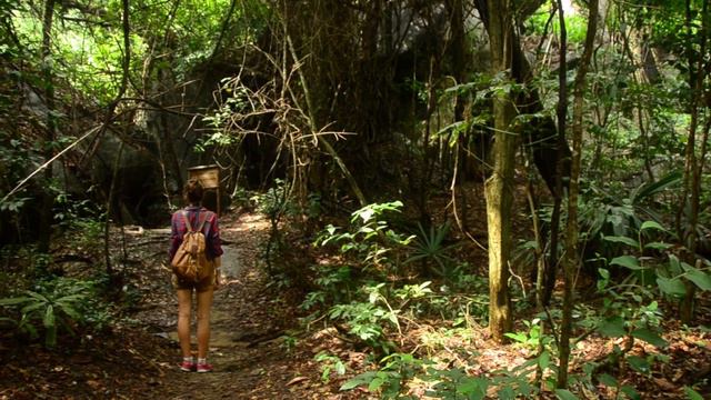 Tayrona National Park, Colombia смотреть онлайн
