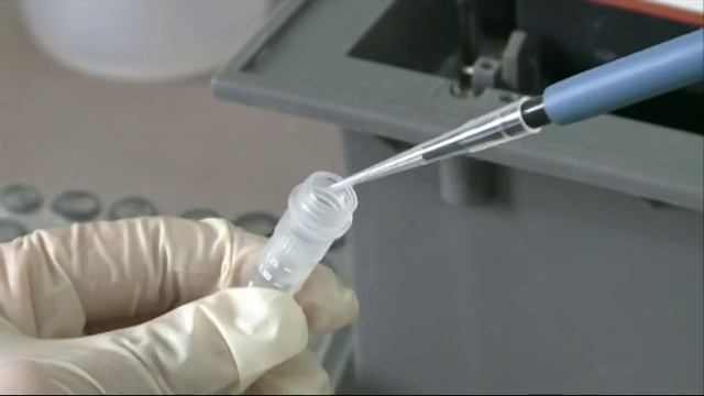 Дьокуускайдааҕы Доруобуйа научнай чинчийэр институт учуонайдара бокоорор ыарыыны киэнник үөрэтэллэ смотреть онлайн