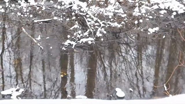 Зимняя сказка в парке смотреть онлайн