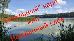 «Нагульный» карп или Нежданный клёв