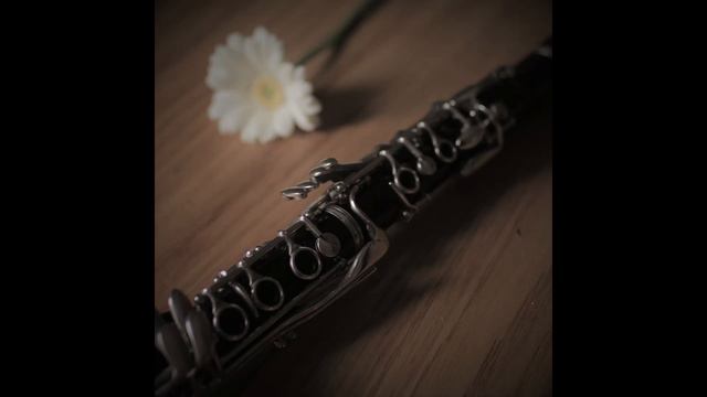 petite fleur смотреть онлайн