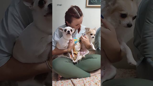 Мама, папа, я - счастливая семья 🥰🥰🥰 смотреть онлайн