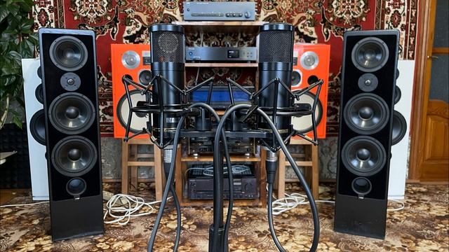 ВАЖЕН ЛИ РАЗМЕР..?! СРАВНЕНИЕ СТОЛБИКОВ! B&W 603 S2 AE / Canton Ergo RC-L / Nad C340